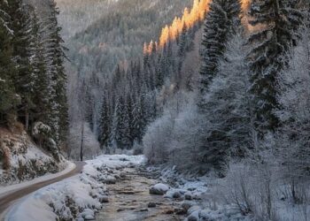 Синоптики сообщили о погоде на 15 января