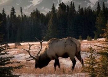 Какая будет погода 16 января