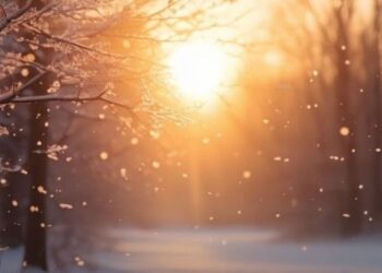 Синоптики сообщили о погоде на 20 января