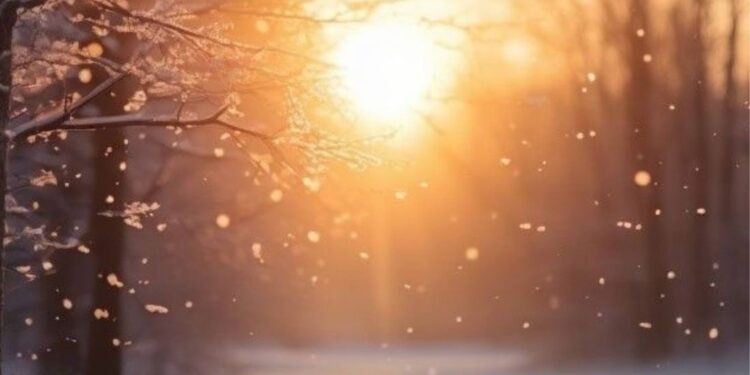 Синоптики сообщили о погоде на 20 января