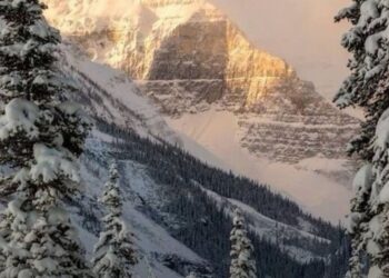 Какая погода ожидается 21 января