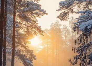 Какая будет погода 22 января