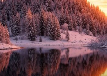 Какой будет погода 23 января