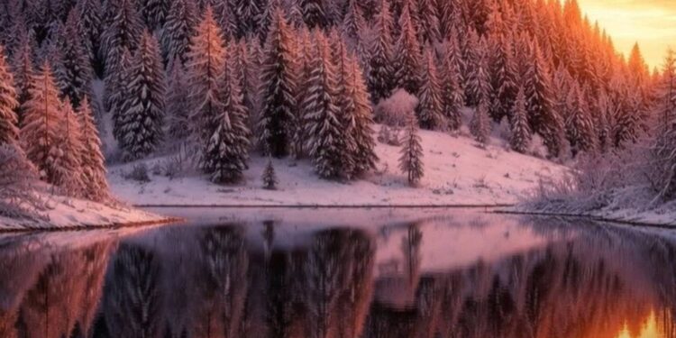 Какой будет погода 23 января