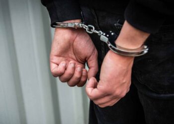 Подозреваемого в серийном мошенничестве экстрадировали из Турции в Казахстан