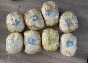 КНБ ликвидировал крупный наркоканал: у подозреваемого изъяли 8 кг метамфетамина