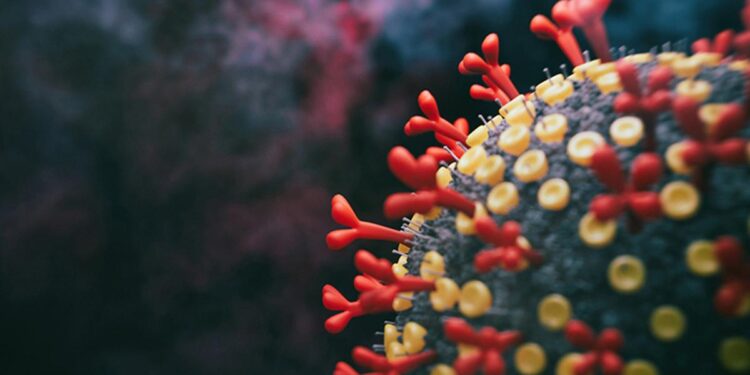 В Минздраве сообщили о циркуляции подвида КВИ “Омикрон”