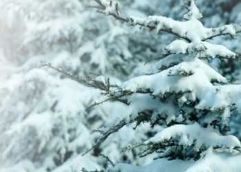 Снегопады и потепление прогнозируют синоптики на выходные