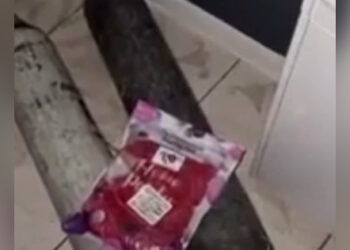 Массажный салон в Караганде превратился в точку сбыта закиси азота