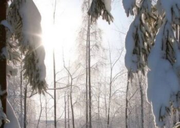 Какая ожидается погода 2 февраля