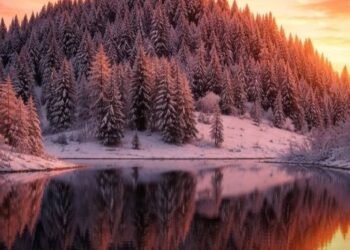 Какая будет погода 16 февраля