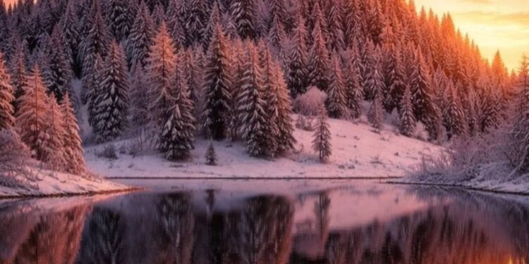 Какая будет погода 16 февраля