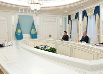 Токаев принял в Акорде министра внутренних дел Грузии