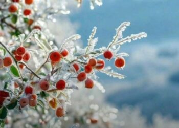 Какая будет погода 25 февраля