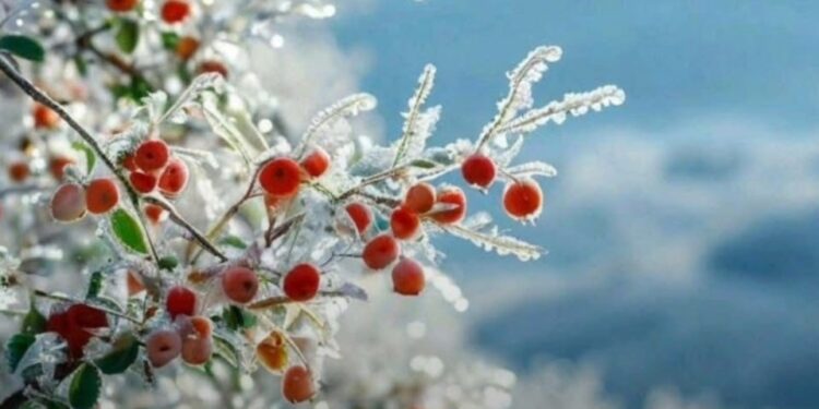 Какая будет погода 25 февраля