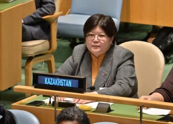 Права женщин и борьба с домашним насилием: Азимова рассказала в ООН о важных положениях в проекте Конституции