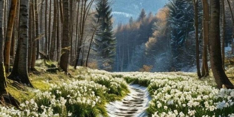 Какая погода будет 3 марта