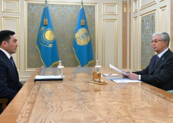 Токаев принял министра энергетики Ерлана Аккенженова