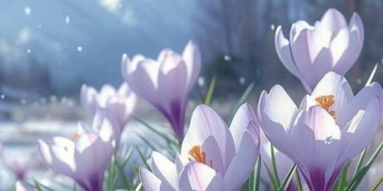 Какая будет погода 16 марта