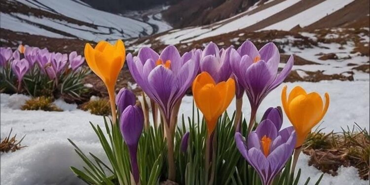 Какая погода ожидается 30 марта