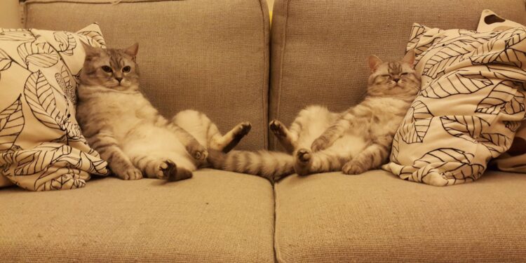 В мае казахстанцев ждут 14 дней отдыха из-за праздников