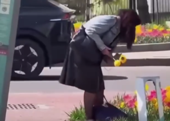 Женщина сорвала цветы на глазах у прохожих в Алматы (ВИДЕО)