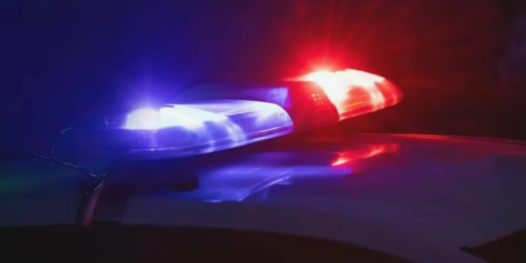 Полиция Шымкента прокомментировала недавний инцидент: возбуждено уголовное дело