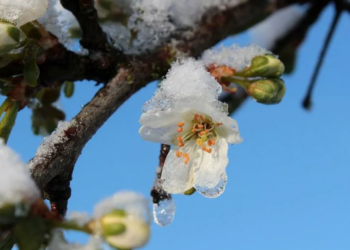 В Казахстане прогнозируются морозы до -18 градусов