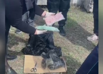 Полиция изъяла 45 тысяч доз наркотиков в двух регионах Казахстана