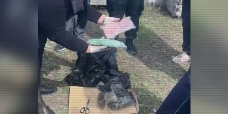 Полиция изъяла 45 тысяч доз наркотиков в двух регионах Казахстана