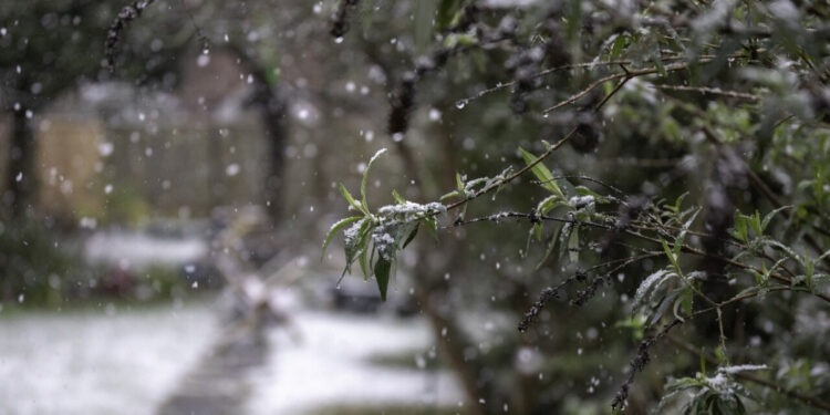 Дожди с градом и снегопады ожидаются в Казахстане