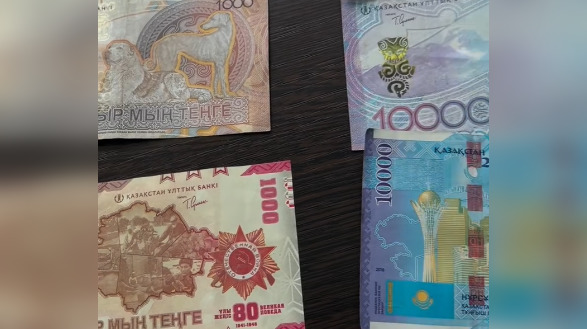 Слишком много денег? Казахстанцы нашли новый повод для критики