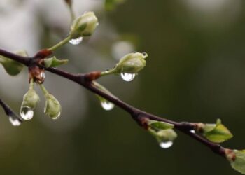 Какая будет погода 10 апреля