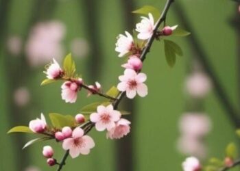 Какая погода будет 13 апреля