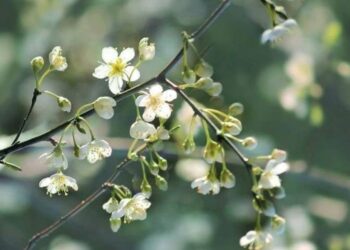 Какая погода ожидается 14 апреля