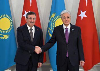 Токаев принял вице-президента Турции