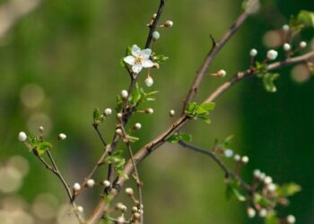 Какая погода будет 17 апреля