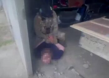 В Семеe ликвидирован наркоканал: изъято 154 кг марихуаны