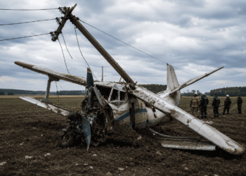 Пилот погиб при крушении самолета Ан-2 в Павлодарской области