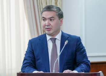Глава общественной приёмной партии AMANAT обрушилась с критикой на министра Нагаспаева