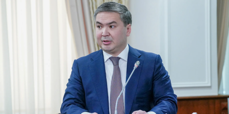 Глава общественной приёмной партии AMANAT обрушилась с критикой на министра Нагаспаева