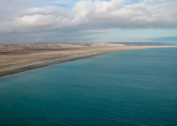 Казахстанцы восхитились восстановлением Аральского моря