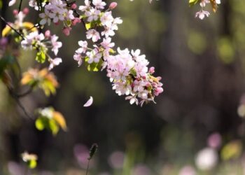 Какая будет погода 4 мая