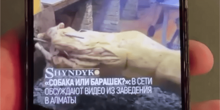 Акимат Алматы ответил на публикацию SHYNDYK.KZ