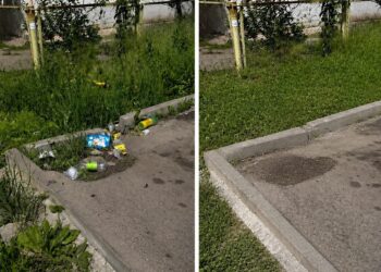 «Очистил» мусор с помощью ИИ: В Алматы уволили сотрудника акимата за фейковые фото уборки
