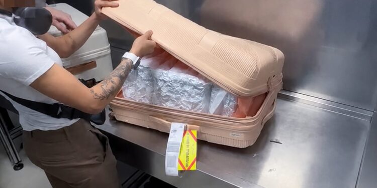 В аэропорту Алматы у иностранки изъяли около 21 кг марихуаны