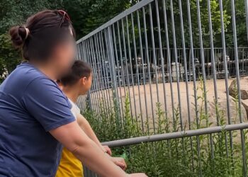 В Алматы женщина бросала камни во льва: зоопарк требует наказать виновную