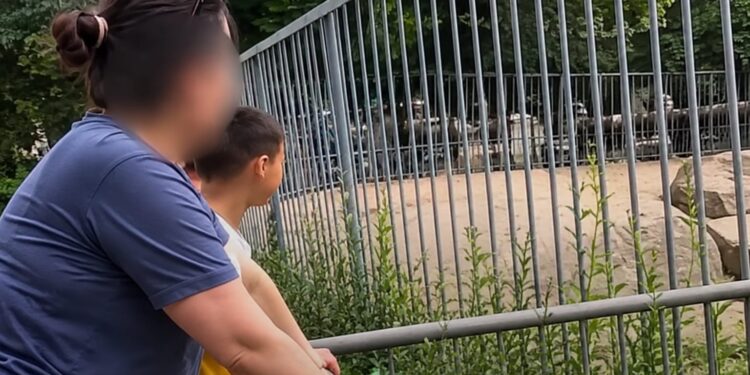 В Алматы женщина бросала камни во льва: зоопарк требует наказать виновную