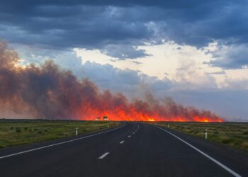 В области Абай тушат крупный пожар на побережье озера Сасыкколь