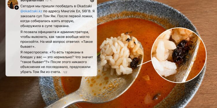 «Обнаружила таракана в супе»: вокруг ресторана Okadzaki разгорелся скандал